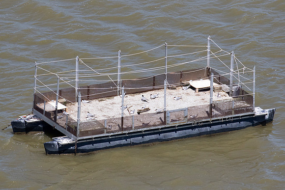 Common Tern nesting platforms at Willow Point Wildlife Area, Erie Co., OH May 16, 2016 (7)
