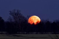 Moon, setting in morning, Ohio River Bluffs, Adams County, Ohio, March 27, 2021