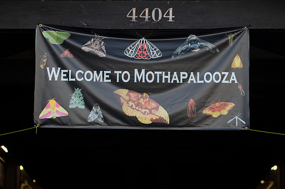 Mothapalooza, Shawnee State Forest, Scioto County, Ohio, July 12, 2019