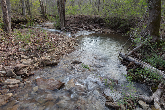 Rosyside Dace habitat, Odell's Creek, Scioto County, Ohio, April 16, 2019