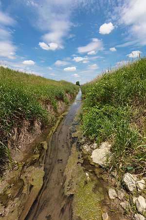 Scioto River, headwaters, Holden Co. Line Rd. and SR 67,  Hardin County, Ohio, June 18, 2020