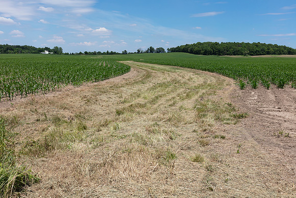 Scioto River, headwaters, Holden Co. Line Rd. and SR 67, Hardin County, Ohio, June 18, 2020