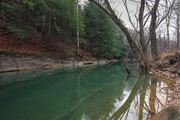 Raccoon Creek, Zaleski State Forest, Vinton County, Ohio, November 30, 2018