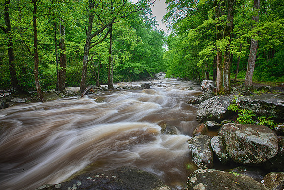 West Prong Little Pigeon River, Great Smokies Mountains National Park, Tennessee, May 19, 2020