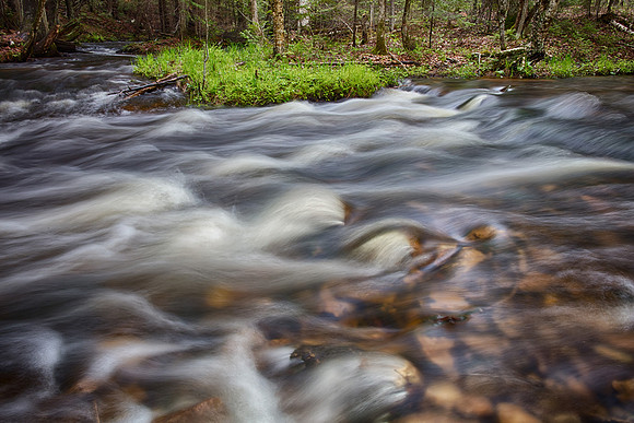 Underground River, Presque Isle County, Michigan, May 28, 2019