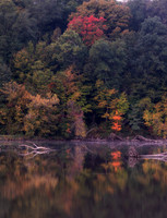 Fall Foliage, Alum Creek Reservoir, Delaware County, Ohio, September 26, 2020