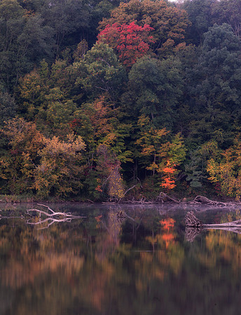 Fall Foliage, Alum Creek Reservoir, Delaware County, Ohio, September 26, 2020