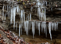 Icycles, Zaleski State Forest, Vinton County, Ohio, November 30, 2018