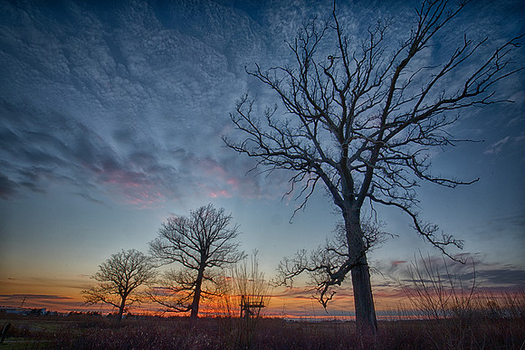 Sunset, Glacier Ridge Metro Park, Union County, Ohio, April 2, 2019