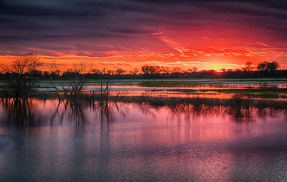 Sunrise over Howard Marsh, Lucas County, Ohio, May 13, 2019