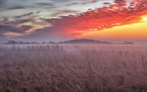 Prairie at dawn, Battelle Darby Metro Park, Franklin County, Ohio, November 25, 2018