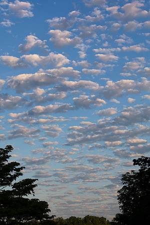 Stratocumulus clouds, Franklin County, Ohio, June 2, 2020