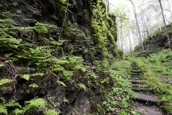 Limestone Cliffs, Highlands Nature Sanctuary, Highland County, Ohio, April 21, 2021