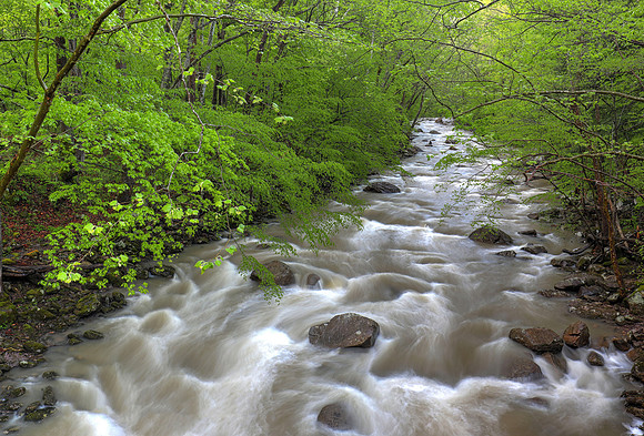 Glade Creek, New River Gorge, West Virginia, May 6, 2018