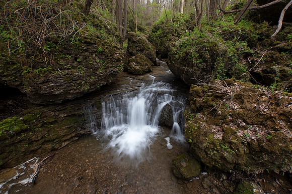 The Jumbles, limestone slump block gorge, Highland County, Ohio, April 14, 2020