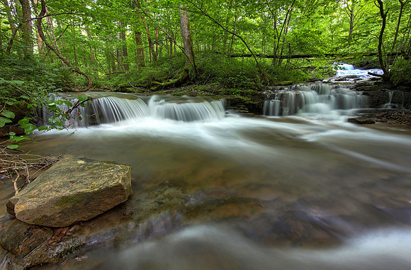 Gauley River tributary, Fayette County, West Virginia, May 7, 2017