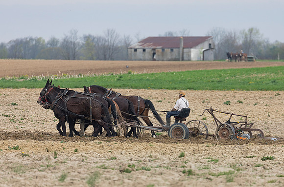 Amish Farmer, Rainsboro, Highland County, Ohio, April 18, 2019
